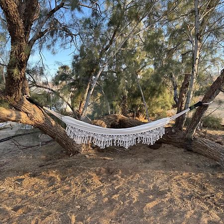 Casa Agave: Comfy Joshua Tree Cottage With Free Breakfast Bar Kültér fotó